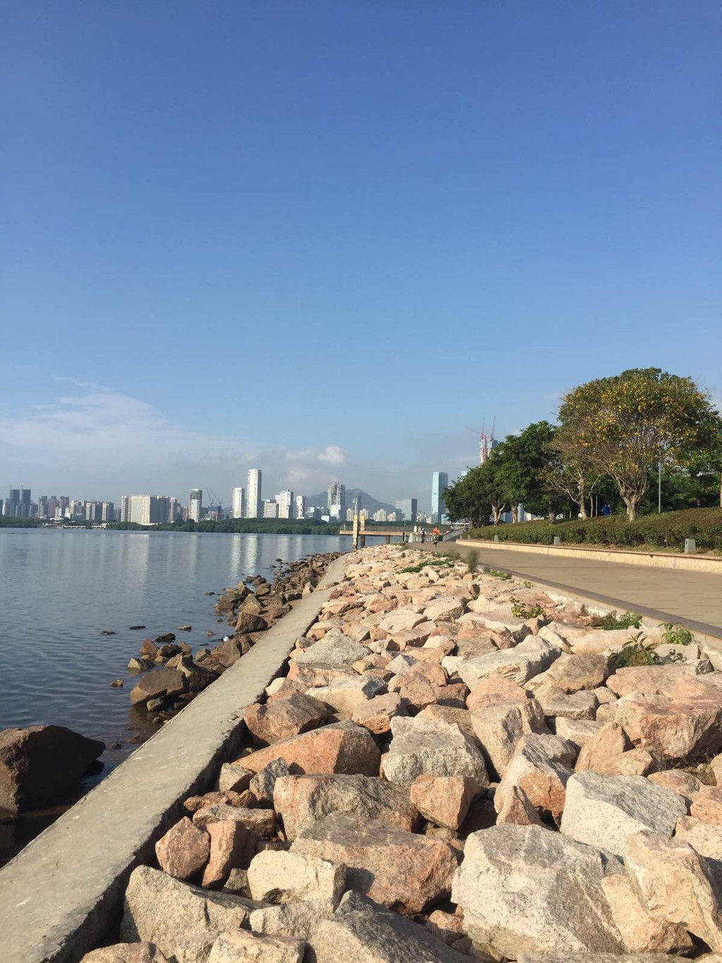                      深圳湾公园