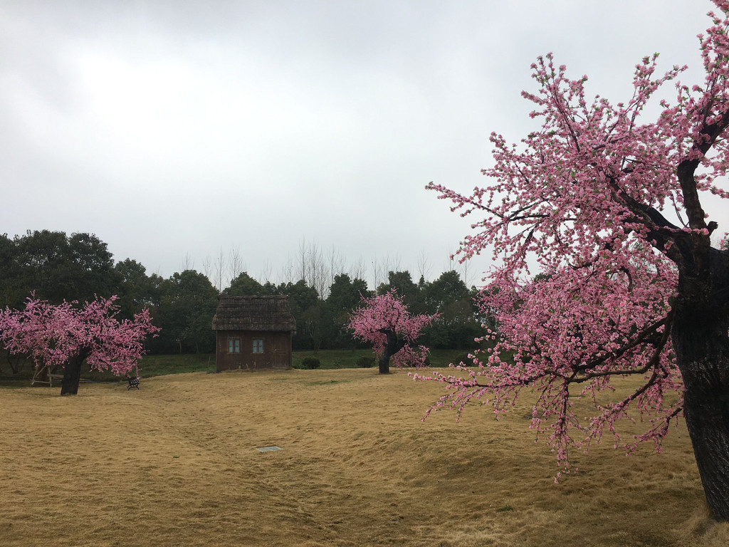 三生三世十里桃花拍摄点