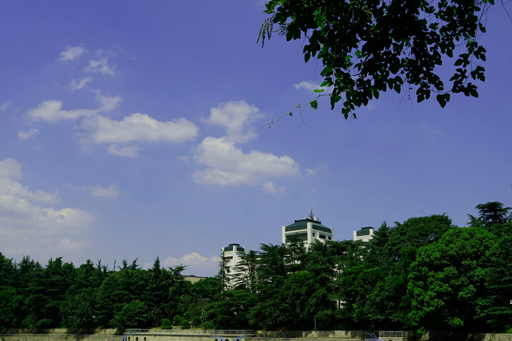 名湖(东湖)名山(科学家前辈李四光选址珞珈山)名校百年名校武汉大学