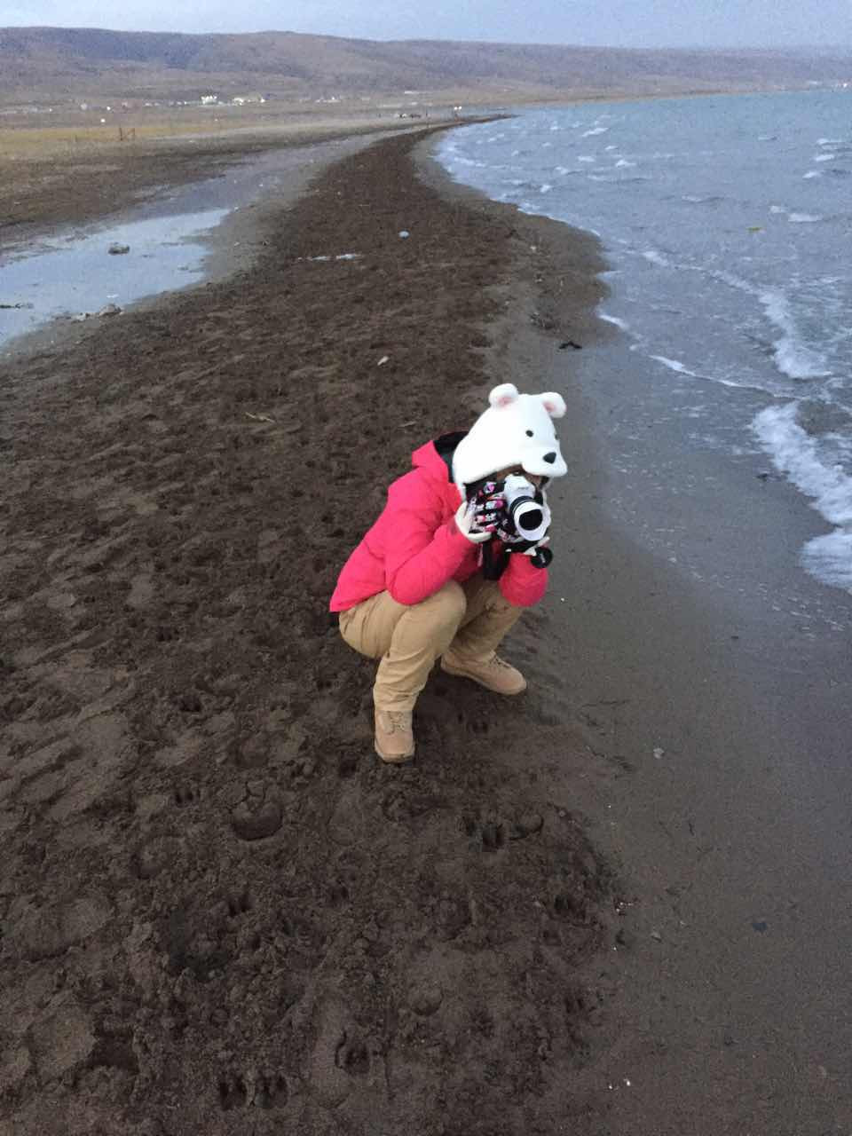 拉屎熊