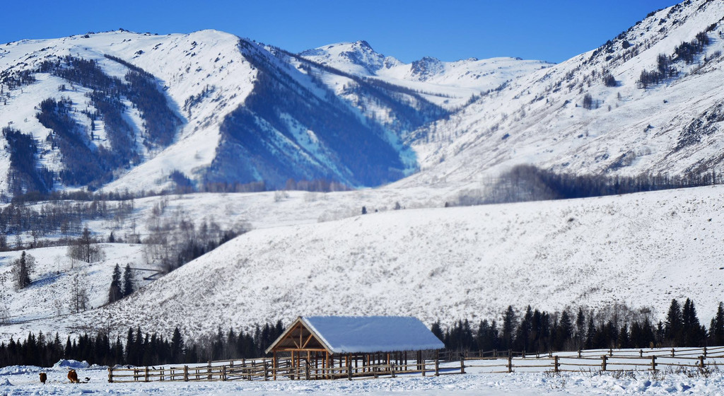 西北雪世界,新疆冬日迷人旅途