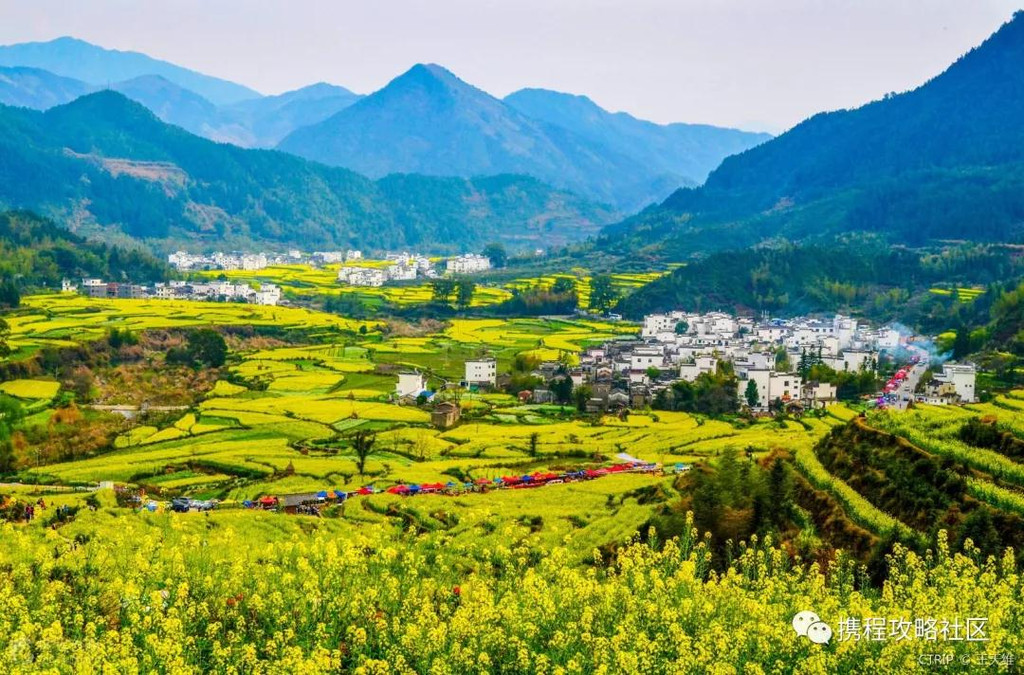 它是公认的"中国最美乡村,3月风景美到哭,不去等于错过整个春天!