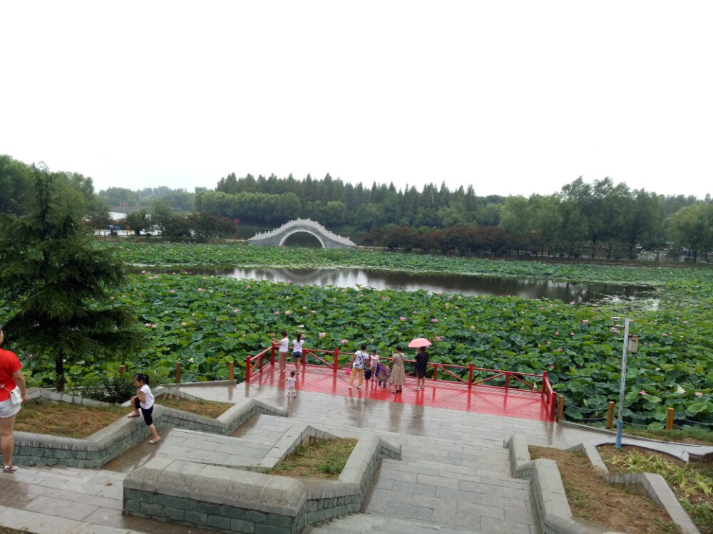 驻马店置地公园