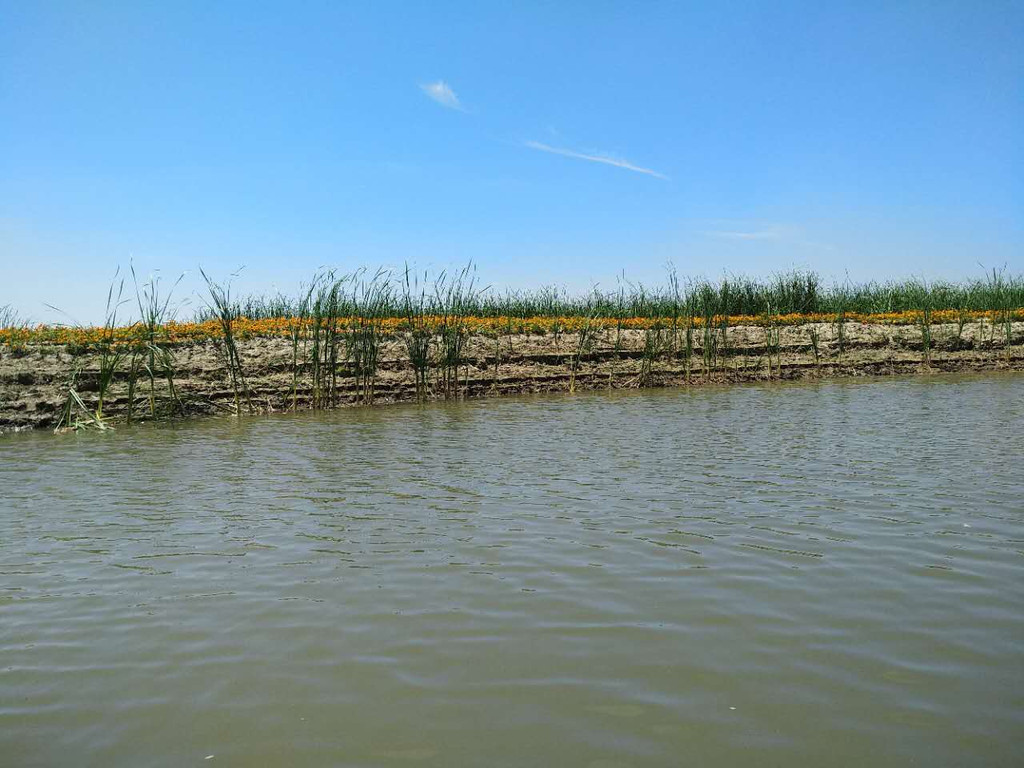 盘锦绕阳湖1日游