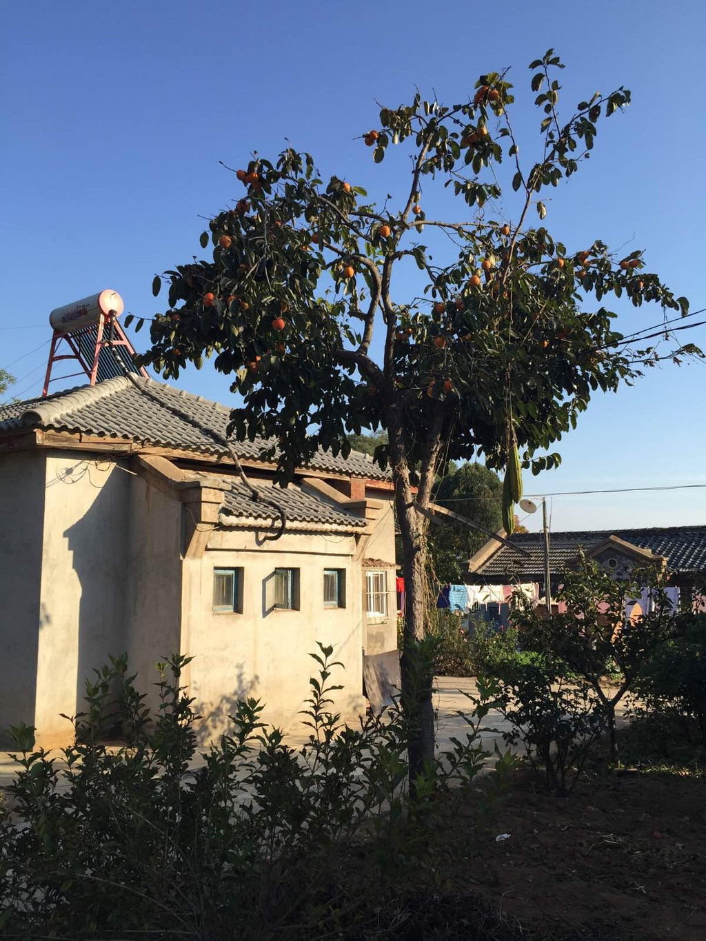 太阳沟                                    