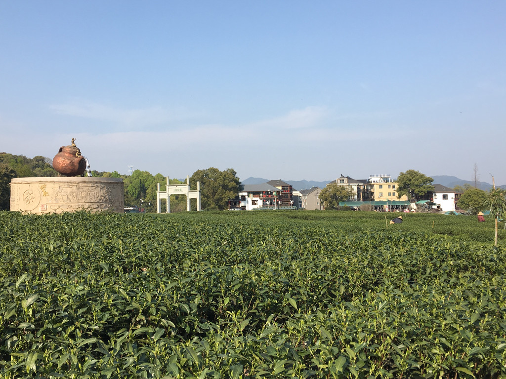 杭州龙坞茶村