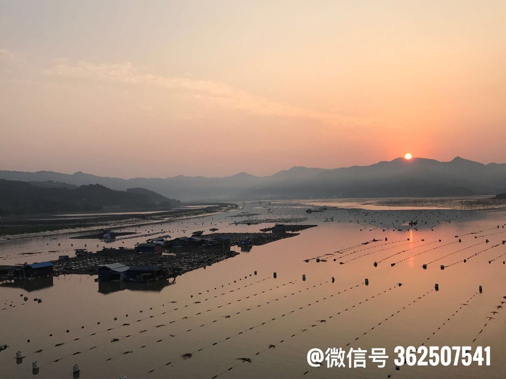 霞浦风筝摄影采风团2017.5.1盐田下青山大桥