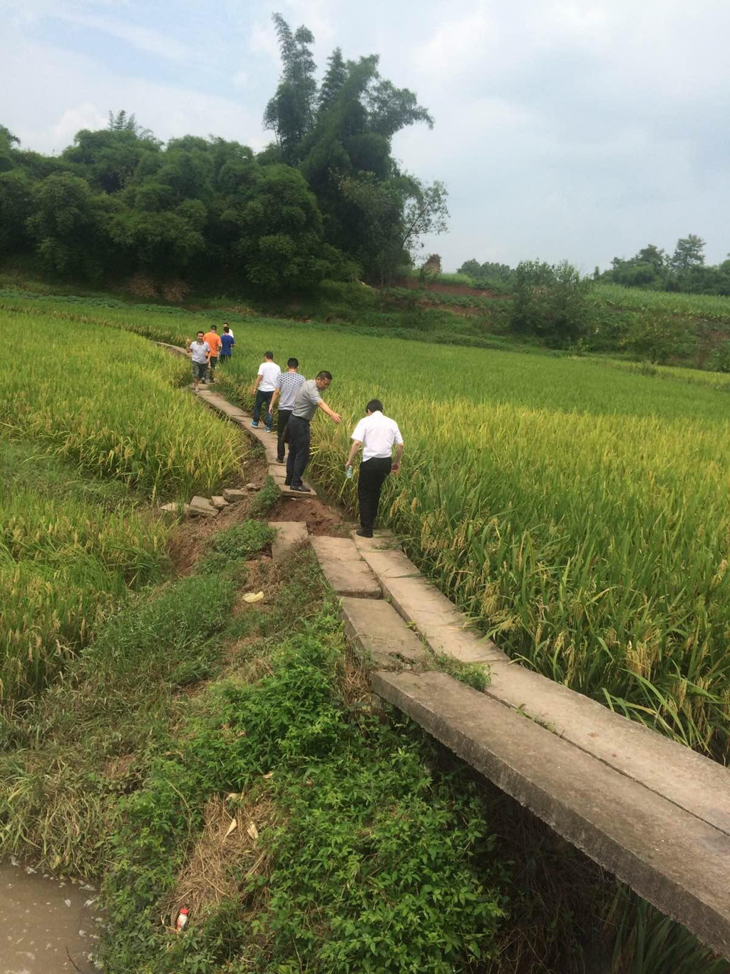 泸州市泸县方洞镇花牌坊村