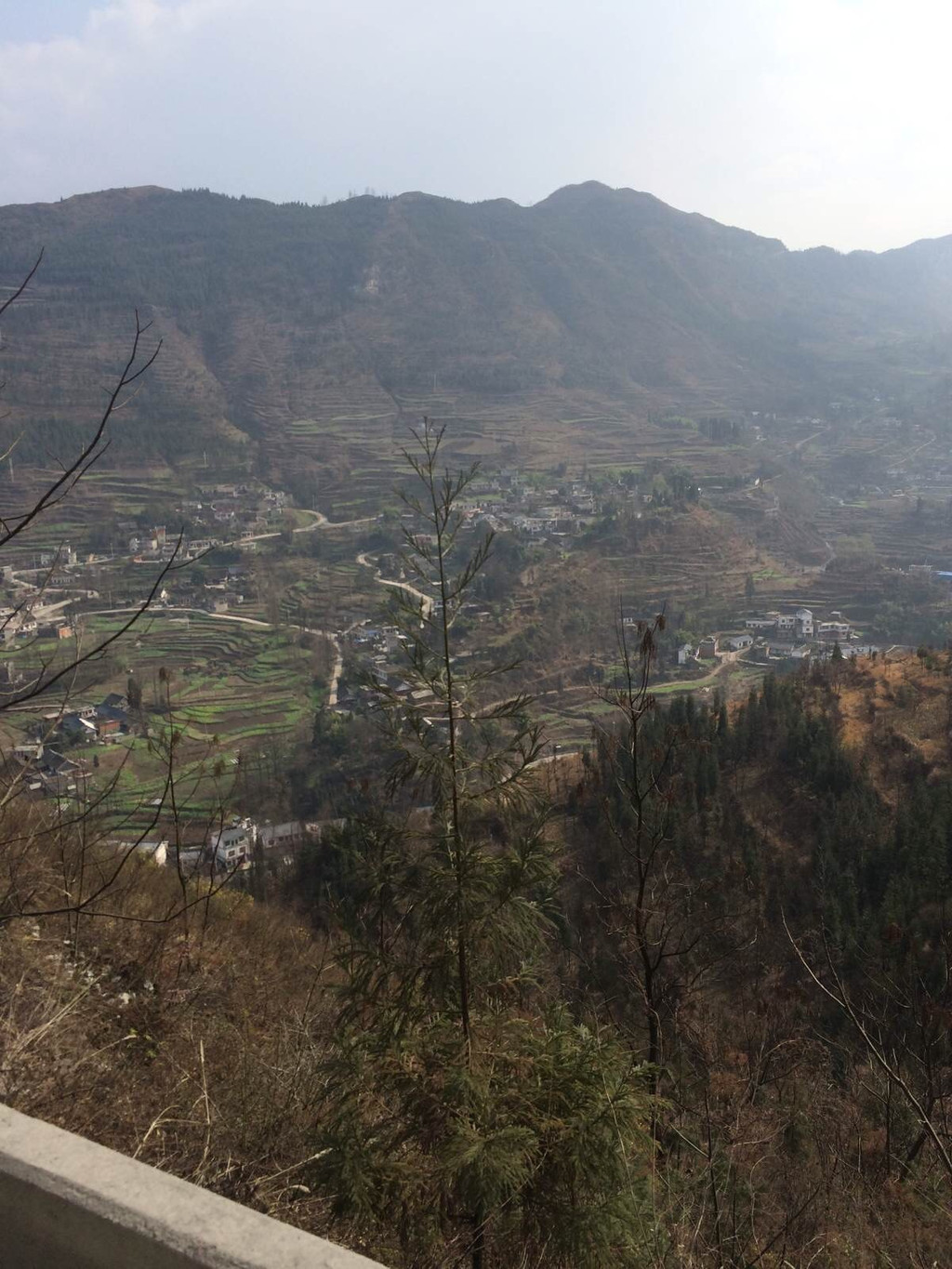 纳雍县