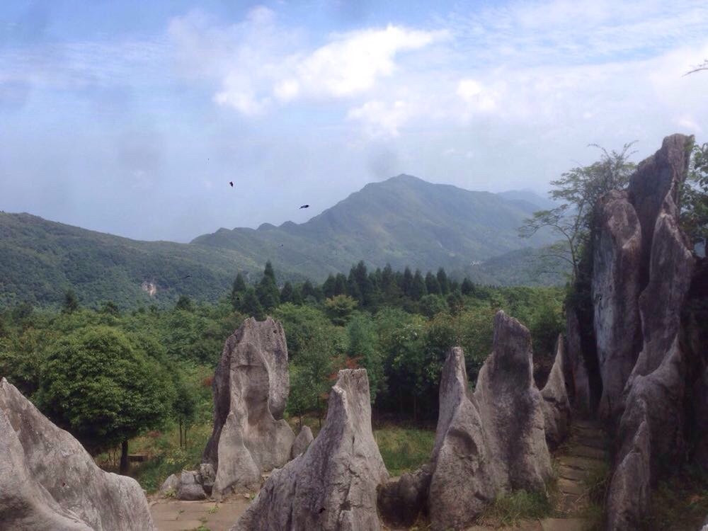 华蓥山风景区                              