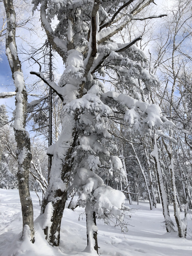 你想不想堆个雪人简谱_宝宝幼儿园 你想不想堆个雪人