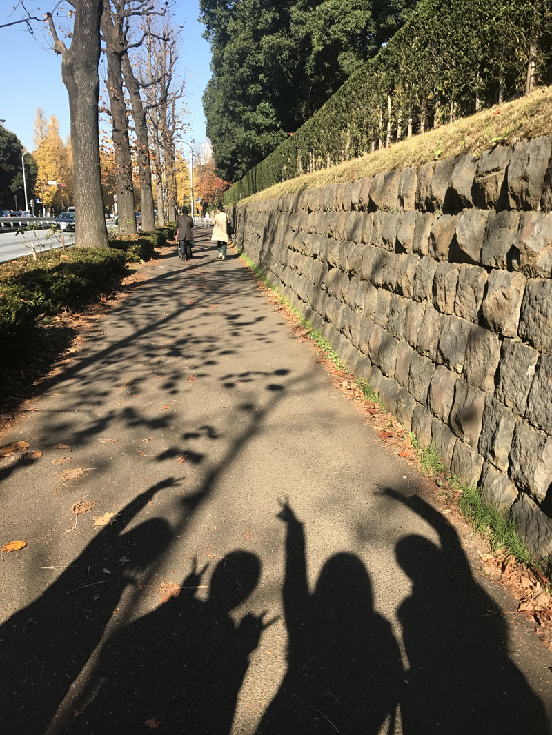 东京、箱根、京都、奈良、大阪,初见日本---从