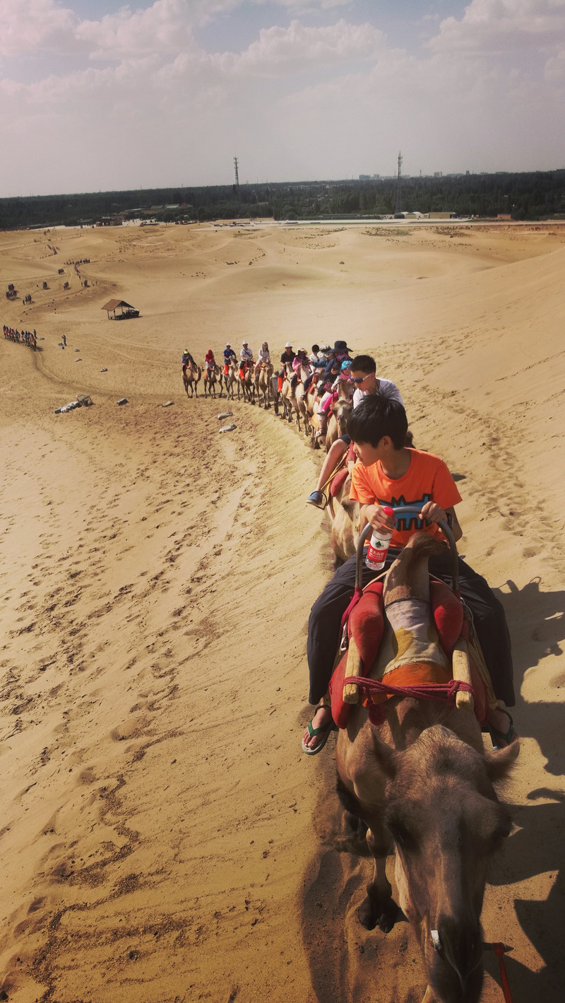 你们的毕业礼,我们的欢乐颂!