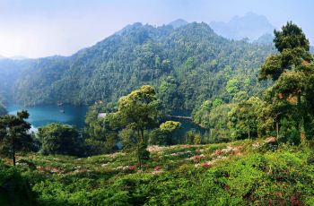 【携程攻略】肇庆鼎湖山周边住宿,鼎湖山附近