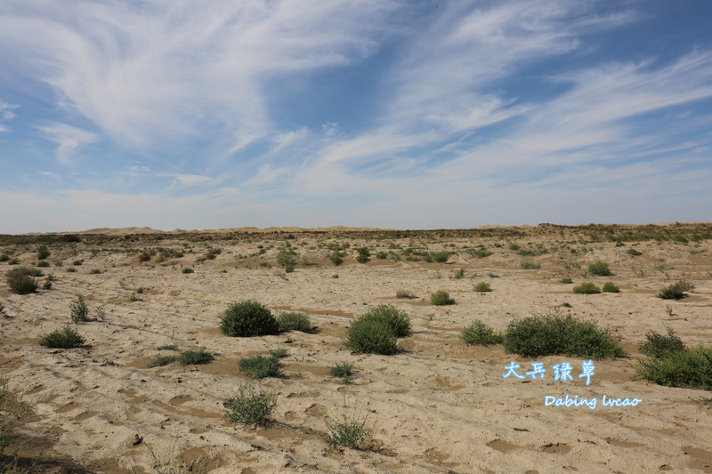 戈壁荒漠,漠戈壁,戈壁沙漠(第11页)_大山谷图库
