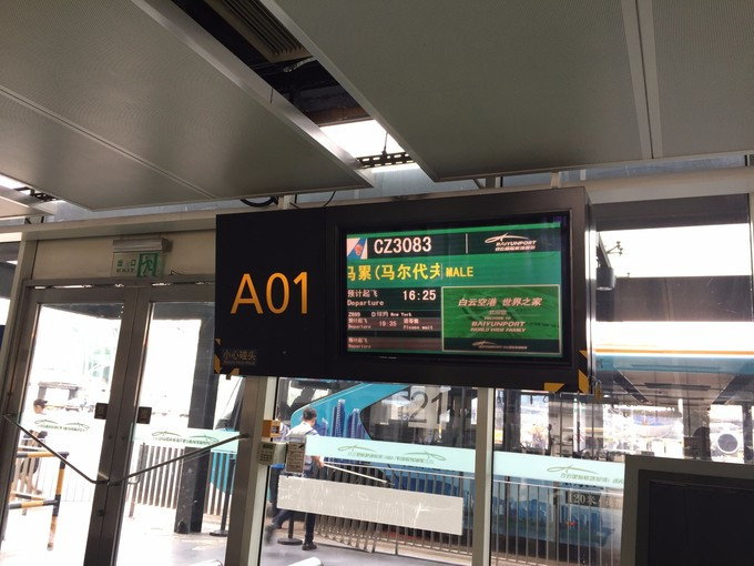 又见Tiffany Blue--中央格兰德,亲子游最强攻略(