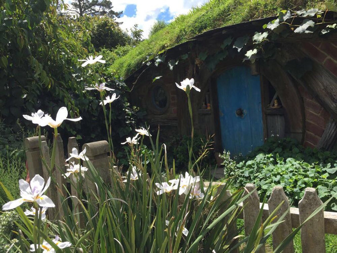 新西兰北岛--霍比特之旅