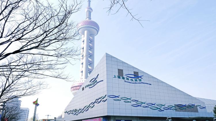 【市区×经典】上海经典3日游