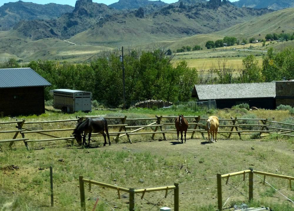 怀俄明州科迪小镇